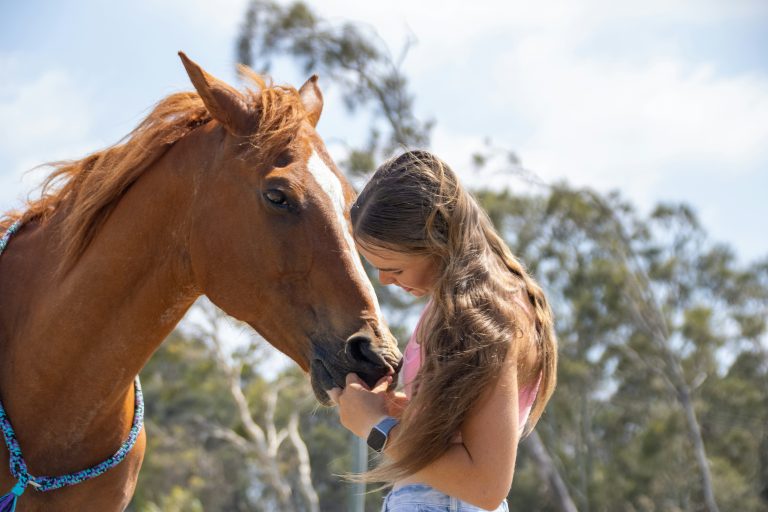 acheter-son-cheval
